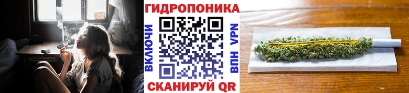 Шишки марихуана ГИДРОПОН  Нолинск 